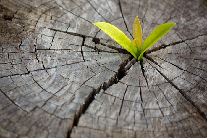 Import financing Solutions