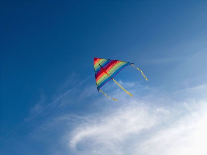 import financing, Auckland