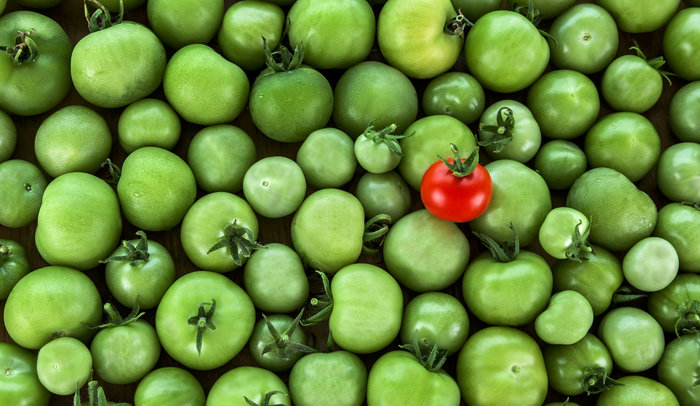 Business savvy - Use sustainability to disrupt your industry