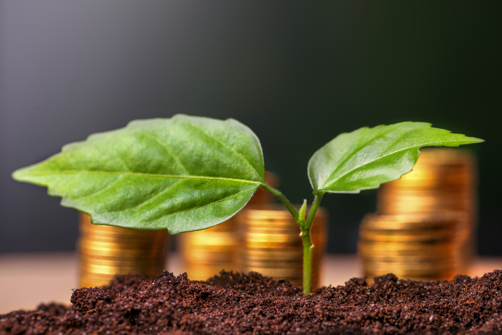 shutterstock 422685649 - Growing your business with the right kind of finance